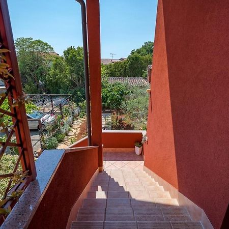 Iva House With Apartment Umag Exterior photo